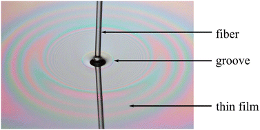 Fiber on a liquid film presenting a groove.