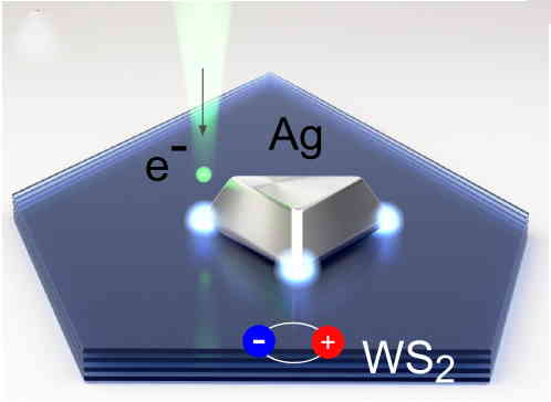 The 1st International Paris-Saclay/Munich Summer School on Surface Plasmons