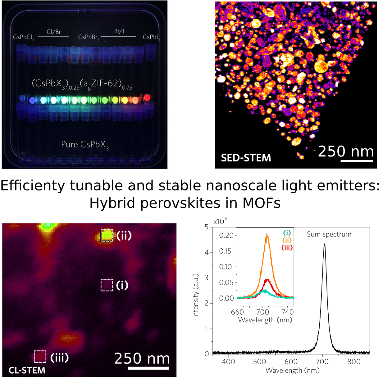 Liquid-phase sintering of lead halide perovskites and metal-organic framework glasses