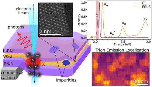 Nanoscale Modification of WS2 Trion Emission by Its Local Electromagnetic Environment