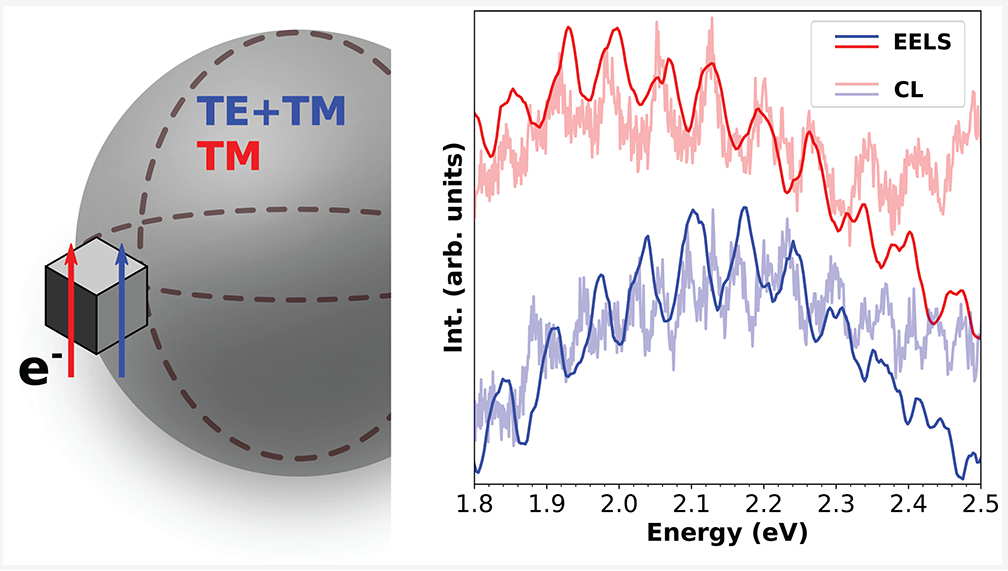 Unveiling the Coupling of Single Metallic Nanoparticles to Whispering-Gallery Microcavities