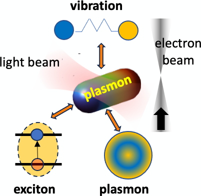Strong and Weak Coupling Nanophysics with Free Electron Beams