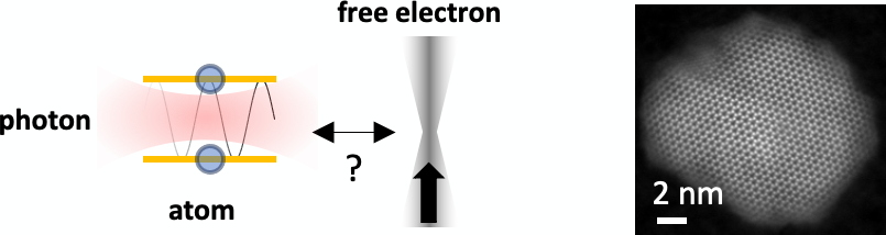 ERC Advanced Grant 2024: The STEM Group awarded for the FreeQCC project